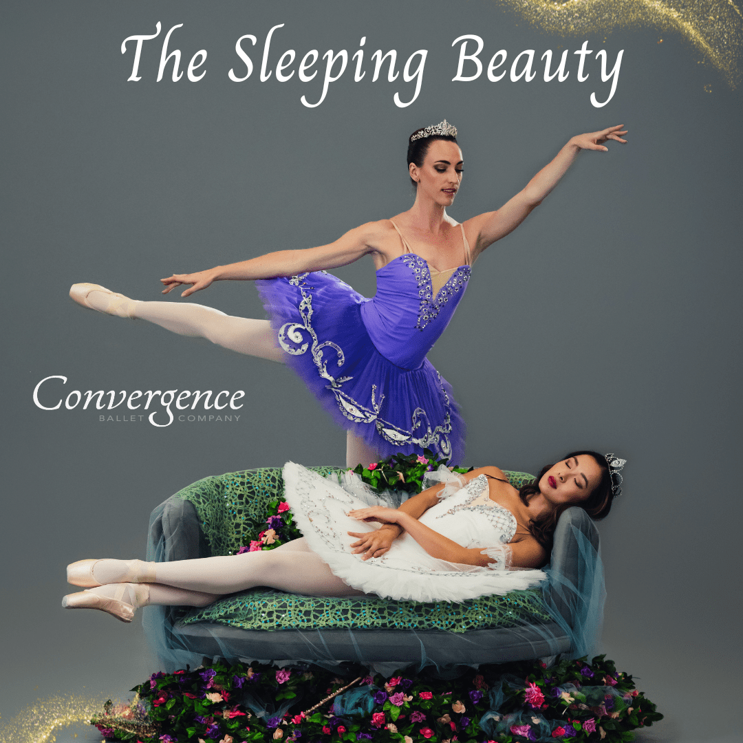 The Sleeping Beauty Poster Image